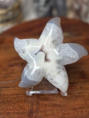 Druzy Agate Starfish Crystal